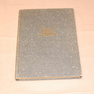 Aapeli Saarisalo Puolikuun mailta